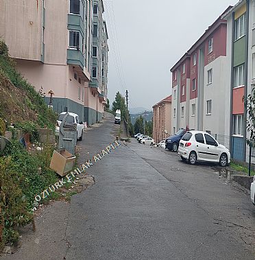 Alapl Kiralk Daire