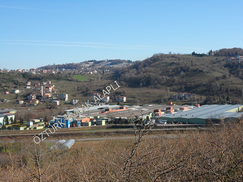 Alapl
