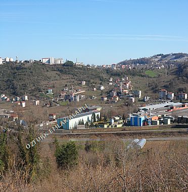Alapl