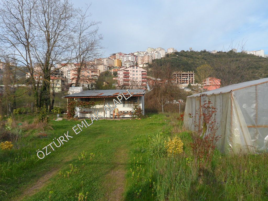 Alapl Kiralk Daire