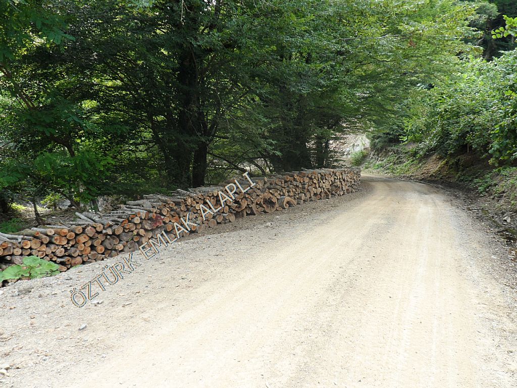 Alapl Kiralk Daire