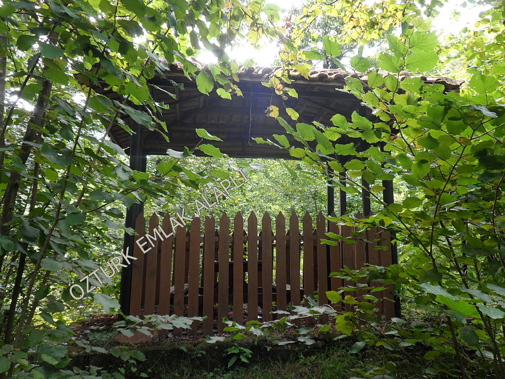 Alapl Kiralk Daire