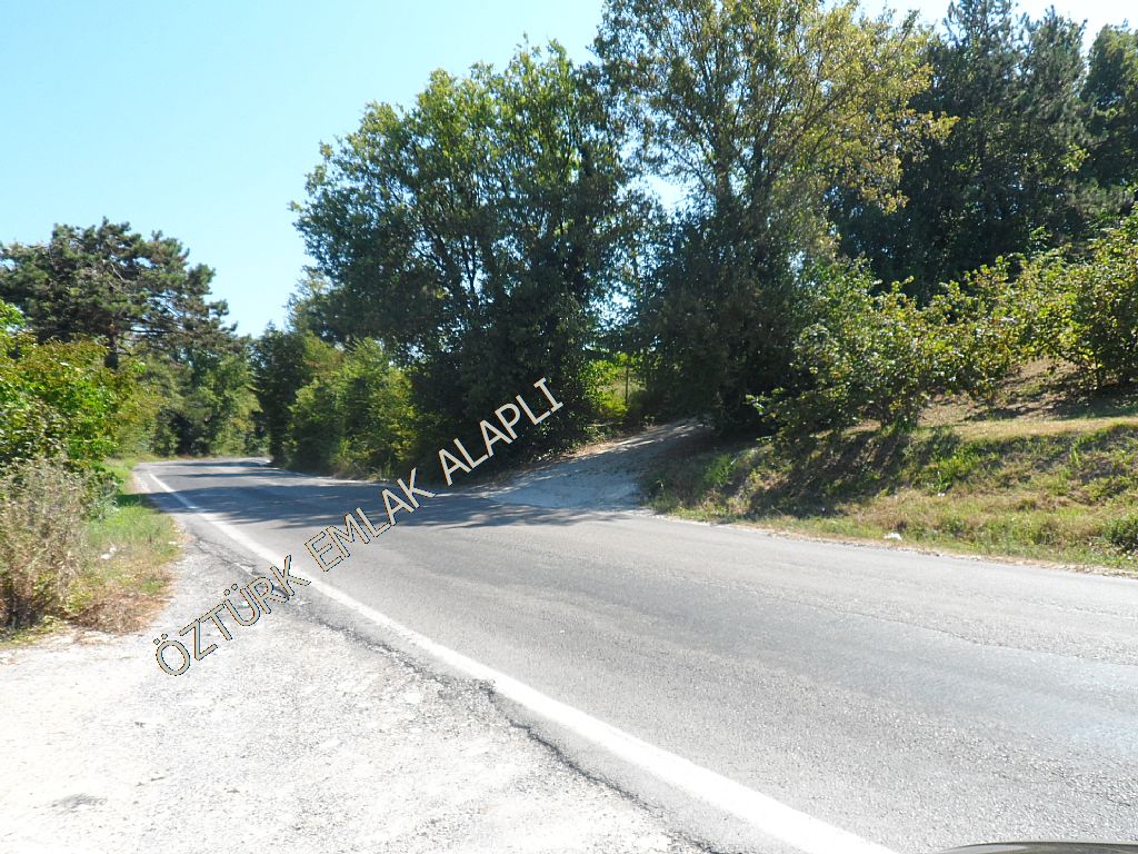 Alapl Kiralk Daire