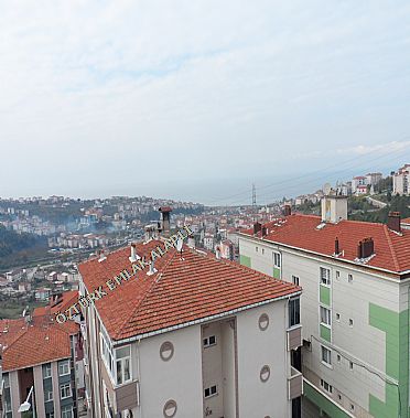 Alapl Kiralk Daire