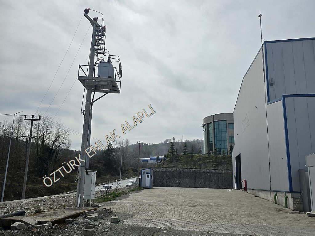 Alapl Kiralk Daire