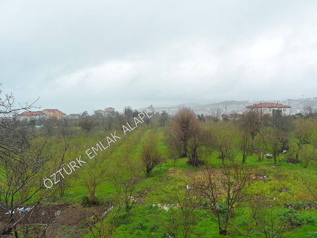 Alapl Kiralk Daire