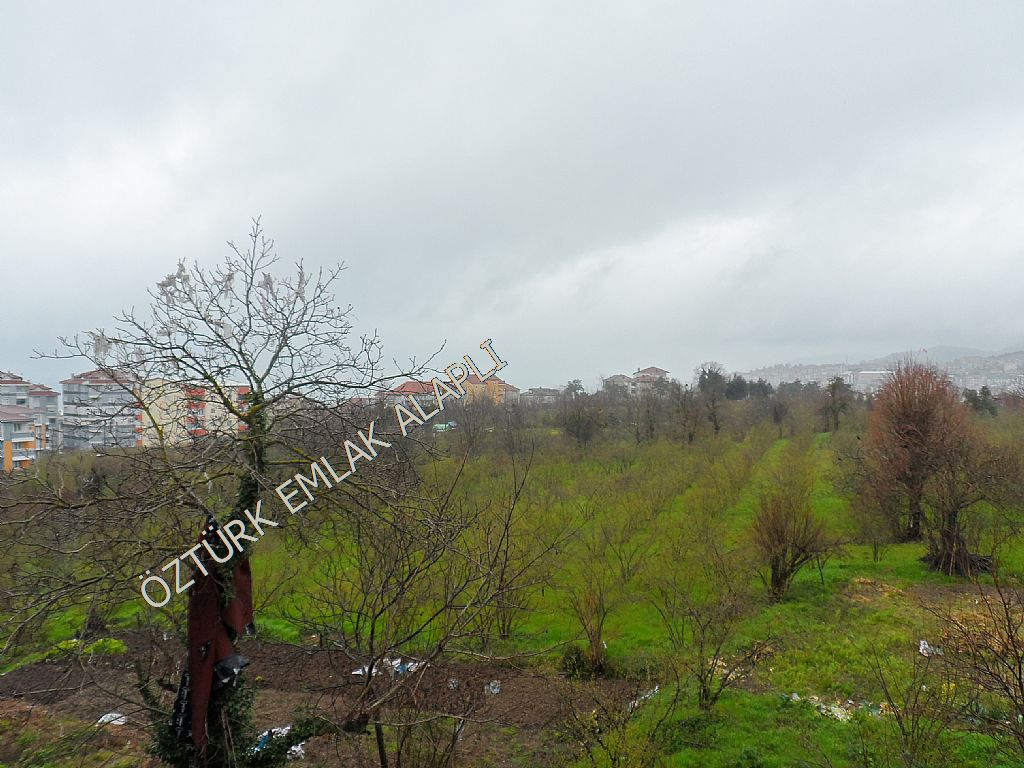 Alapl Kiralk Daire