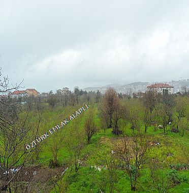 Alapl Kiralk Daire