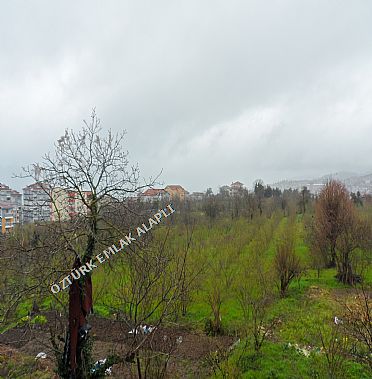 Alapl Kiralk Daire
