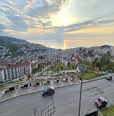 Alapl Kiralk Daire