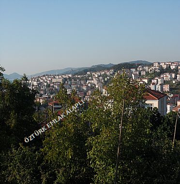 Alapl Kiralk Daire