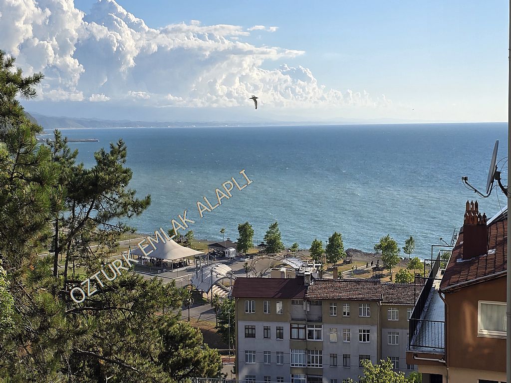 Alapl Kiralk Daire