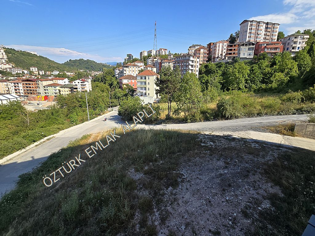 Alapl Kiralk Daire