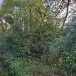 20251113_105850