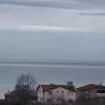 20260213_113034