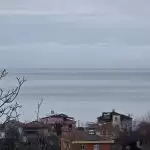 20260213_113036