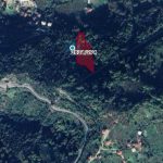 Screenshot_20260421_142440_ParselSorgu