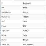 Screenshot_20260421_142659_ParselSorgu