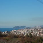 SAM_8395