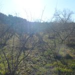 SAM_8397