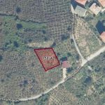 WhatsApp Image 2025-07-16 at 14.31.26